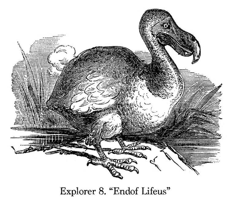 IE8 is Going the Way of the Dodo